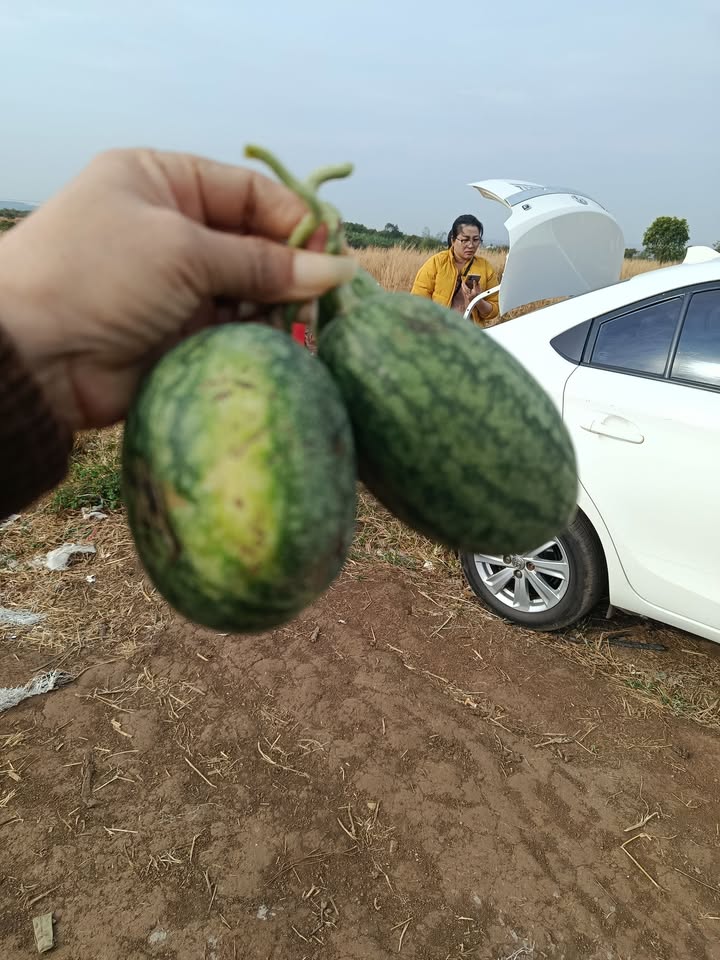 Đất Nền Ea Knuếc Krông Pắc 490m² Giá 1 Tỷ - Lô Góc 2 Mặt Tiền Đẹp