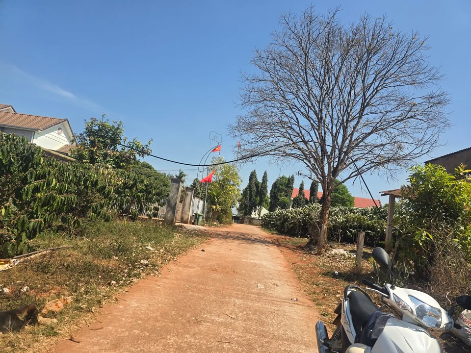 Đất nền Krông Nô, Đắk Nông 400m² - Đất thổ cư 100%