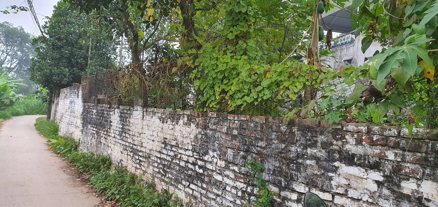 Đất Vĩnh Phúc 200m² Sổ Đỏ Sẵn Sàng - Giá Tốt Đầu Tư