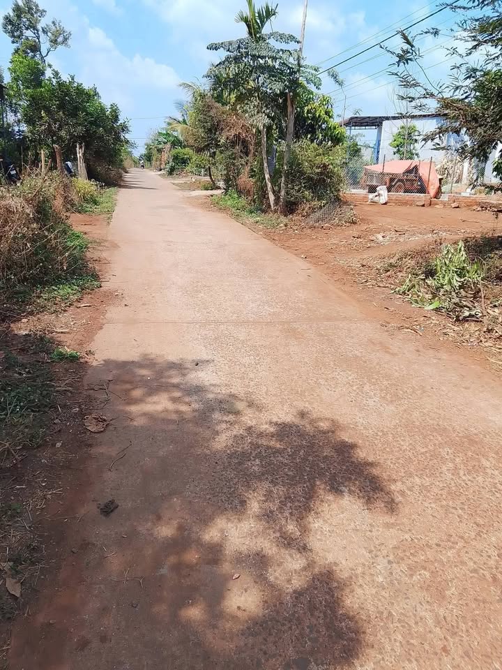 Đất Nền Buôn Triết, Lắk - 224m² Sổ Đỏ, Gần Khu Vui Chơi 300m