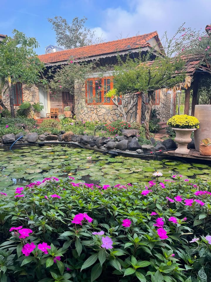 Nhà vườn Chư Sê 1330m² - Giá tốt hiếm có!