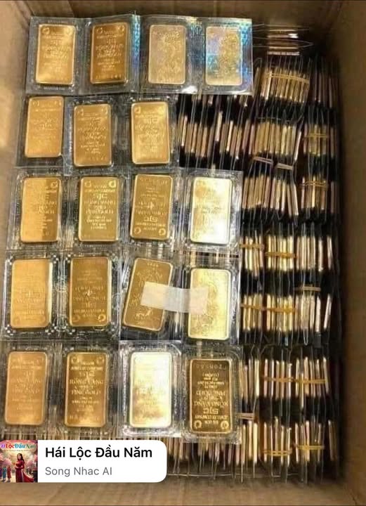 Đất nền Chư Sê Gia Lai từ 380 triệu - Sổ đỏ chính chủ, thổ cư sẵn