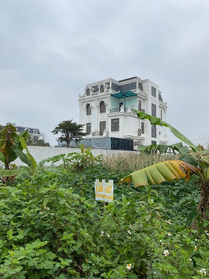 Bán đất 160m² Phường Hoa Lư, Ninh Bình - Sổ đỏ chính chủ, đường 7m