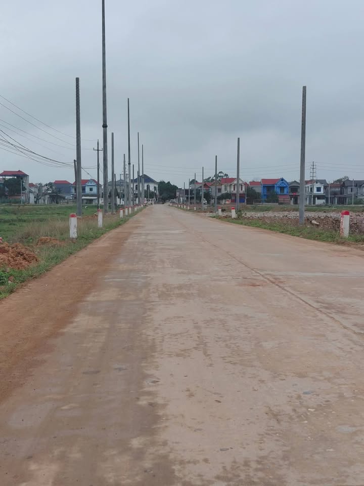 Đất đấu giá Tam Dương 120m² - Sổ đỏ sẵn sàng, giá chỉ từ 1 tỷ