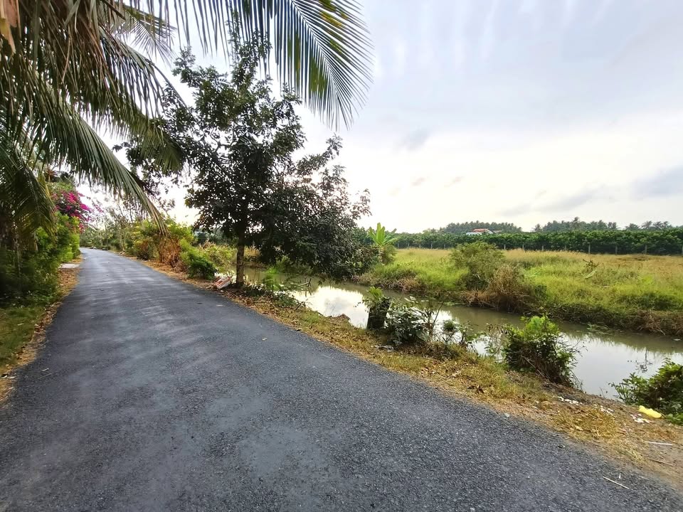 Đất nền Bình Phan Chợ Gạo 2457m² giá 2.5 tỷ - Sổ đỏ chính chủ!