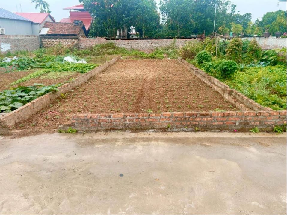 Bán gấp Đất Sóc Sơn 111m² - Sổ đỏ chính chủ, Ô tô tránh