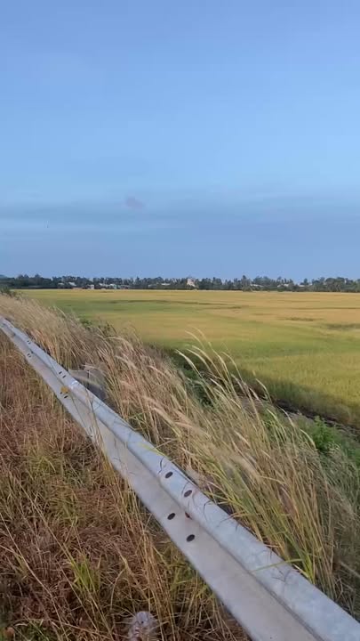 Bán Gấp Đất Mặt Tiền QL91 Châu Đốc 3536m² - Đầu Tư Sinh Lời