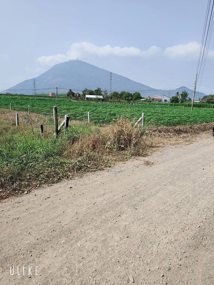 Đất Nền 135m² Dương Minh Châu, Tây Ninh - Sổ Sẵn Sẵn Sàng Công Chứng