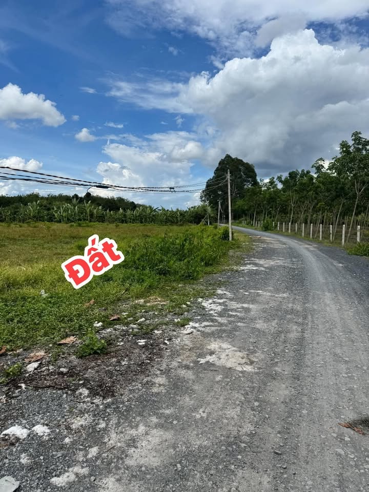 Đất nền Phường Long Hoa, Tây Ninh 185m² – Đất thổ cư 100%