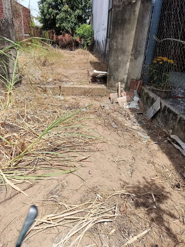 Bán Đất Thị Trấn Bình Đại, Bến Tre - 600 Triệu, 100m² Thổ Cư, Mặt Tiền Đường Xe Hơi