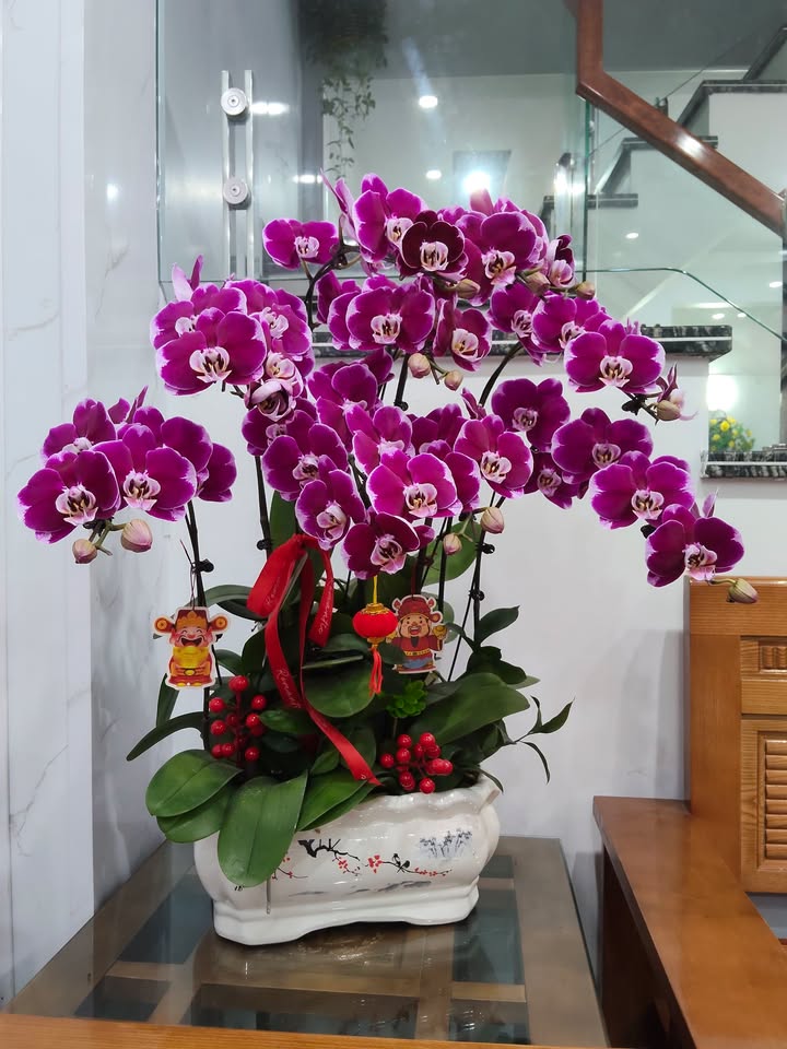 Đất Mặt Đường Hàng Tổng, Hải An - 90m² Kinh Doanh Đắc Lợi