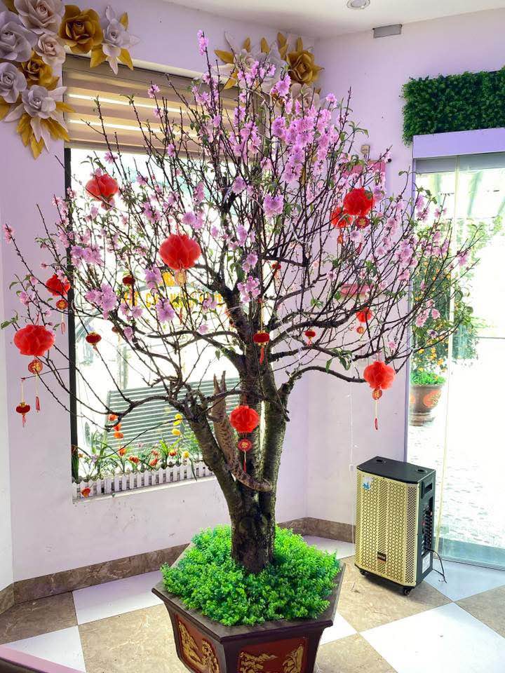 Đất nền Kiến Xương 70m², 2xx triệu - Sổ đỏ chính chủ, ô tô vào tận đất!