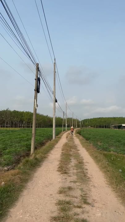 Đất nền 175m² Sổ hồng riêng - Giá chỉ 300 triệu tại Bến Cầu, Tây Ninh