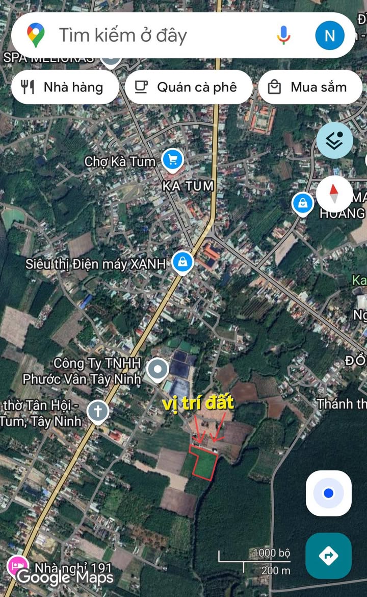 Bán Đất 15.000m² Tân Hội, Bình Phước - Mặt Tiền 110m, Giáp Suối, Giá 3.5 Tỷ