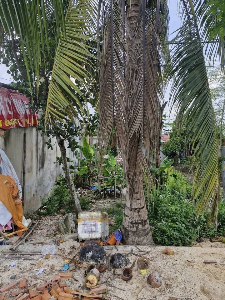 Đất mặt tiền Phạm Hồng Thái Chơn Thành 204m² - Mặt tiền kinh doanh đắc địa!