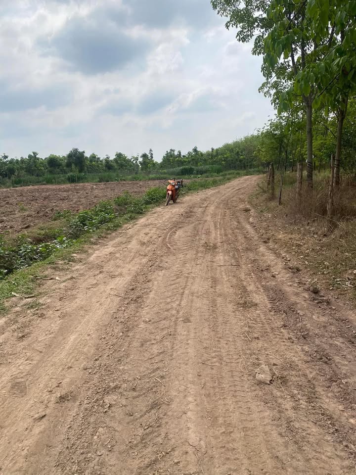 Đất Nền Lộc Thành, Chơn Thành: 360m² Sổ Hồng Riêng, Giá 135 Triệu