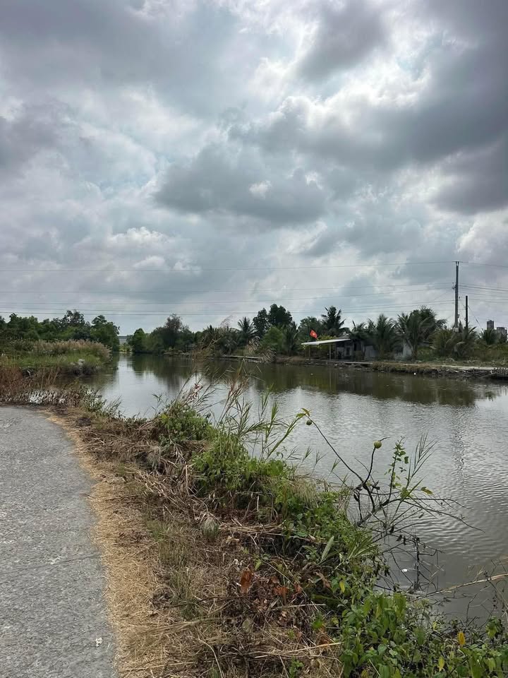 Bán Đất Nền Cái Nước Cà Mau 420m² Giá 1.2 Tỷ - Sổ Đỏ Chính Chủ