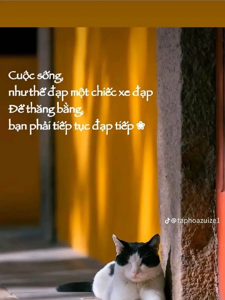 Đất nền MB 3741 Đông Minh 120m² - Hạ tầng hoàn thiện, tiềm năng cao!