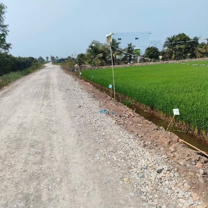 Đất Nền Mặt Kênh 9200m² - Thủ Thừa, Long An - Sổ Đỏ Sẵn Sàng