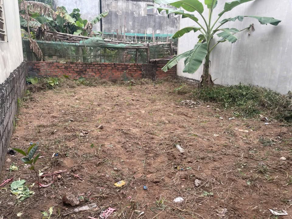 Đất nền Thanh Trì Hoàng Mai 36m² nhỉnh 3 tỷ - Sổ đỏ chính chủ