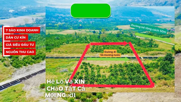 Đất Vườn Đắk Mil 2520m² - Tiềm năng tăng giá, 1.3 tỷ!