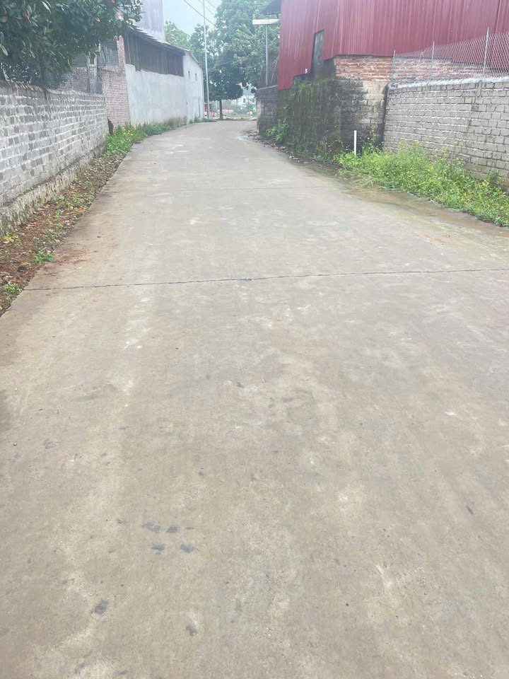 Đất nền Việt Yên 162m² giá chỉ từ 1 tỷ - Tiềm năng tăng giá cao!