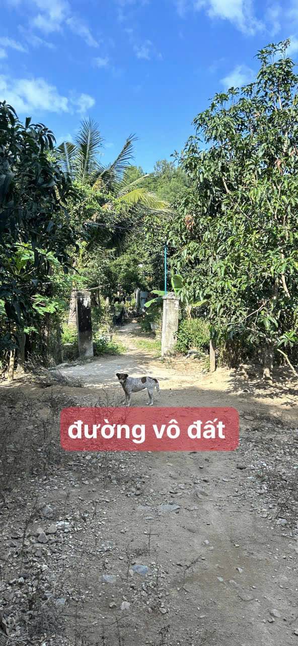 Đất nền Vĩnh Lương 210m² - Tiềm năng tăng giá vượt trội!