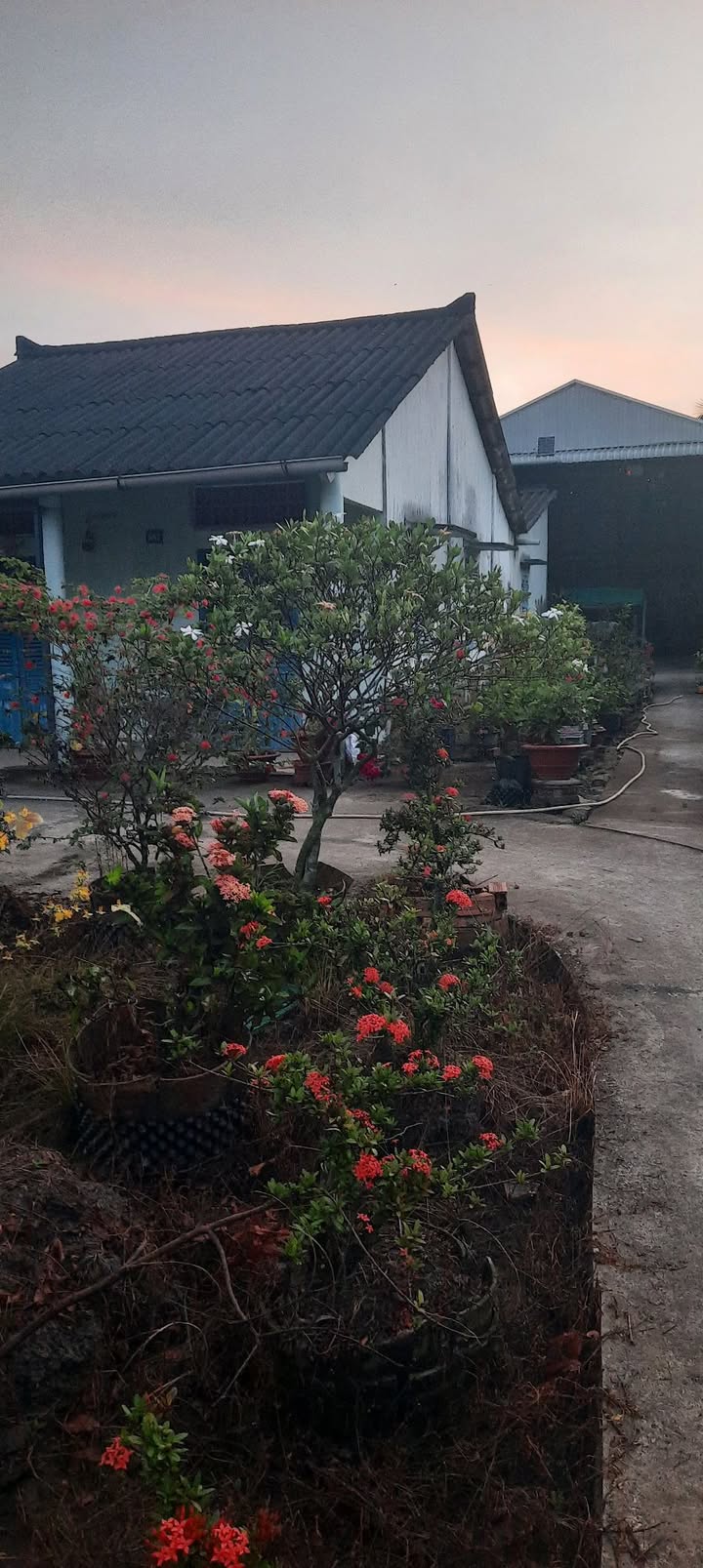 Đất nền Ấp Phước Toàn, Mỹ Yên, Tây Ninh 1206m² - Sổ đỏ chính chủ!