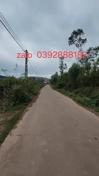 Đất nền Đông Dinh Lục Nam 200m² - Pháp lý rõ ràng, giá 800 triệu