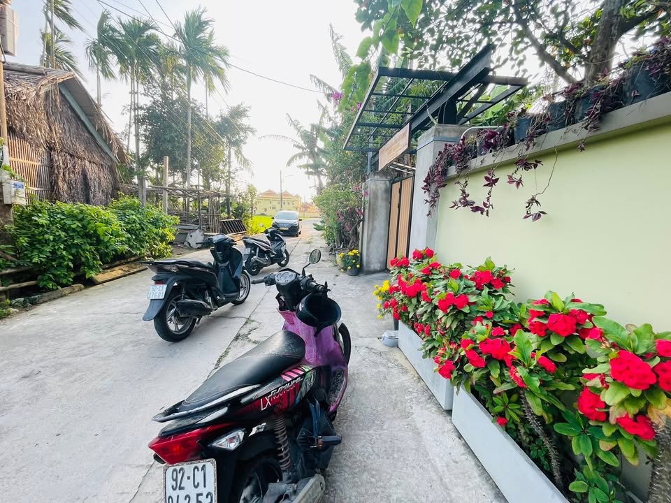 Cho thuê nhà Cẩm Thanh Hội An 4PN 25 triệu - View đồng lúa xanh mát