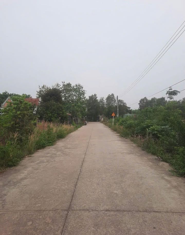 Đất nền Phú Giáo - Sổ đỏ vuông vắn, dân cư đông đúc, giá chỉ từ 800 triệu