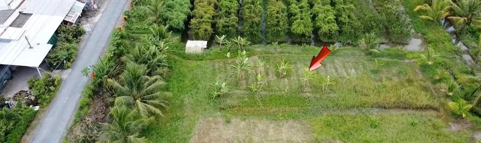 Đất Nền Mặt Tiền 450m² Xã Thạnh Phú, Cầu Kè - Sẵn Sàng Xây Nhà