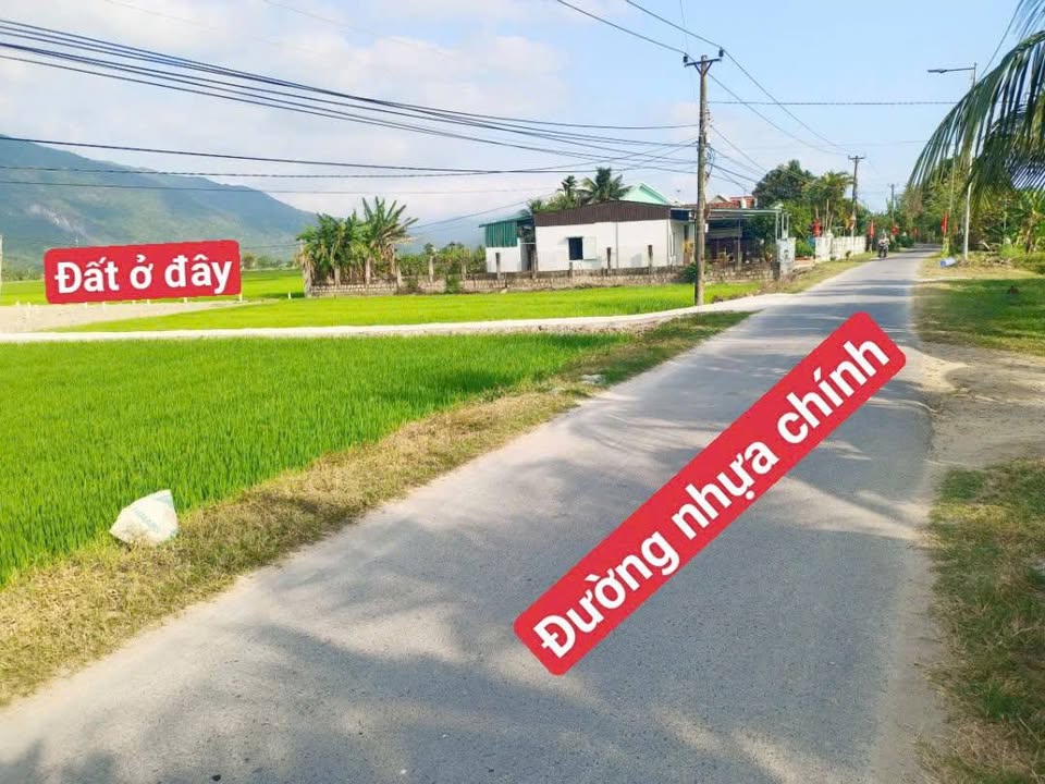 Bán Đất Ninh Giang 125m² Sổ Đỏ Giá 4xx Triệu - Tiềm Năng Sinh Lời Cao