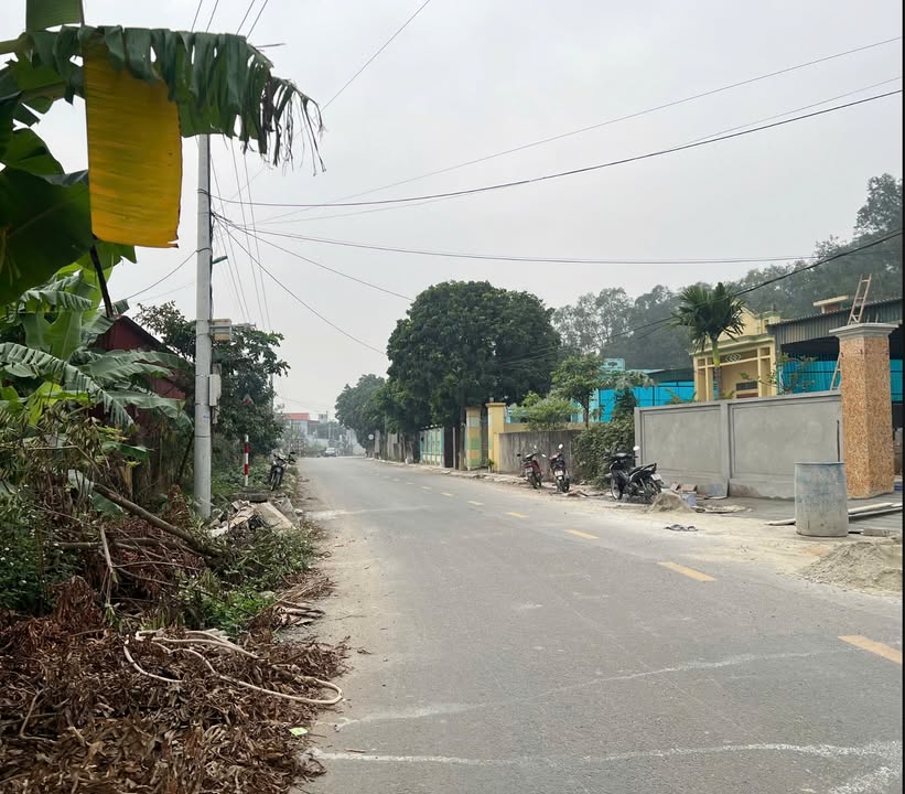 Đất nền Nga Sơn 100m² - Giá đầu tư tốt, ô tô vào tận nơi!