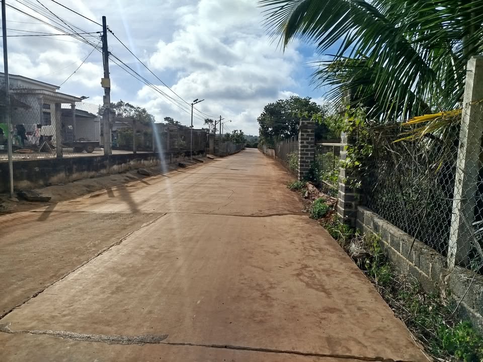 Đất Mặt Tiền Bùi Huy Bích, Buôn Hồ 250m² - Sổ Đỏ Sẵn Sàng