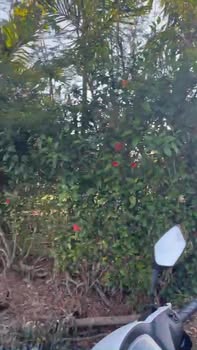 Đất nền Krông Năng 3000m² - Tiềm năng tăng giá vượt trội!