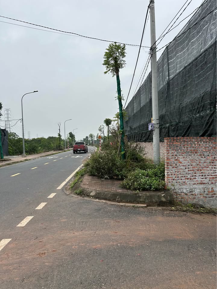 Bán Gấp Đất 700m² An Khánh, Hoài Đức - Đường Container, Sổ Đỏ 50 Năm