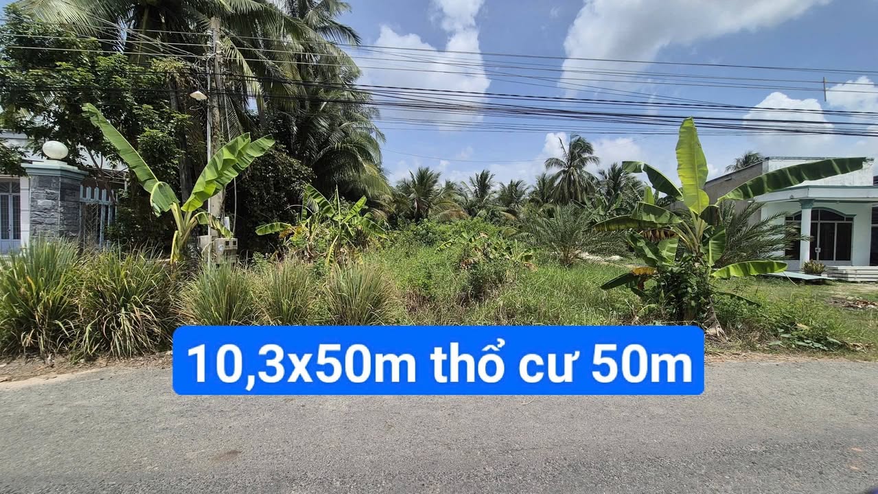 Đất nền 515m² Ấp Thanh An, Châu Thành - Giá Ngộp 850 Triệu