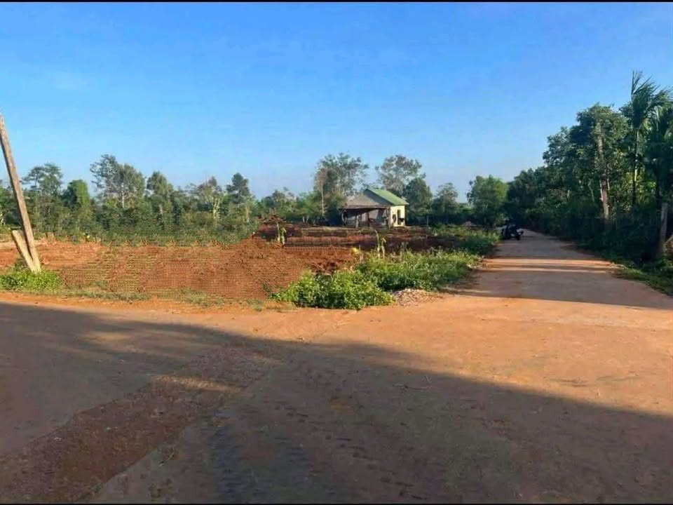 Bán Đất 2 Mặt Tiền Ea Hồ, Krông Năng - 1408m² Thổ Cư, Giá 2.199 Tỷ