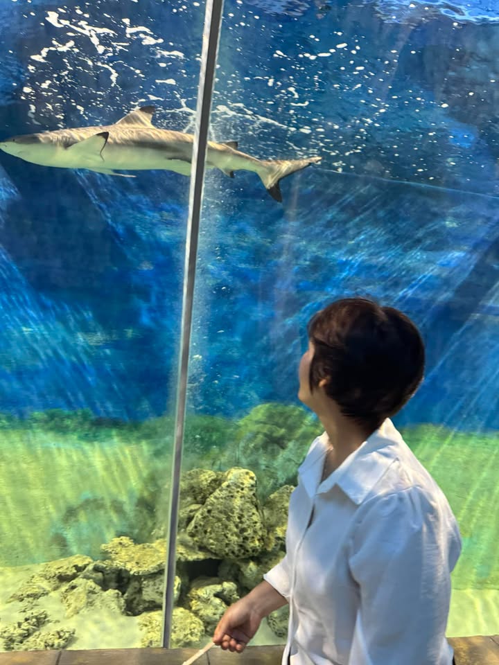 Đất nền Thành phố Buôn Hồ 1260m² - Tiềm năng tăng giá vượt trội!