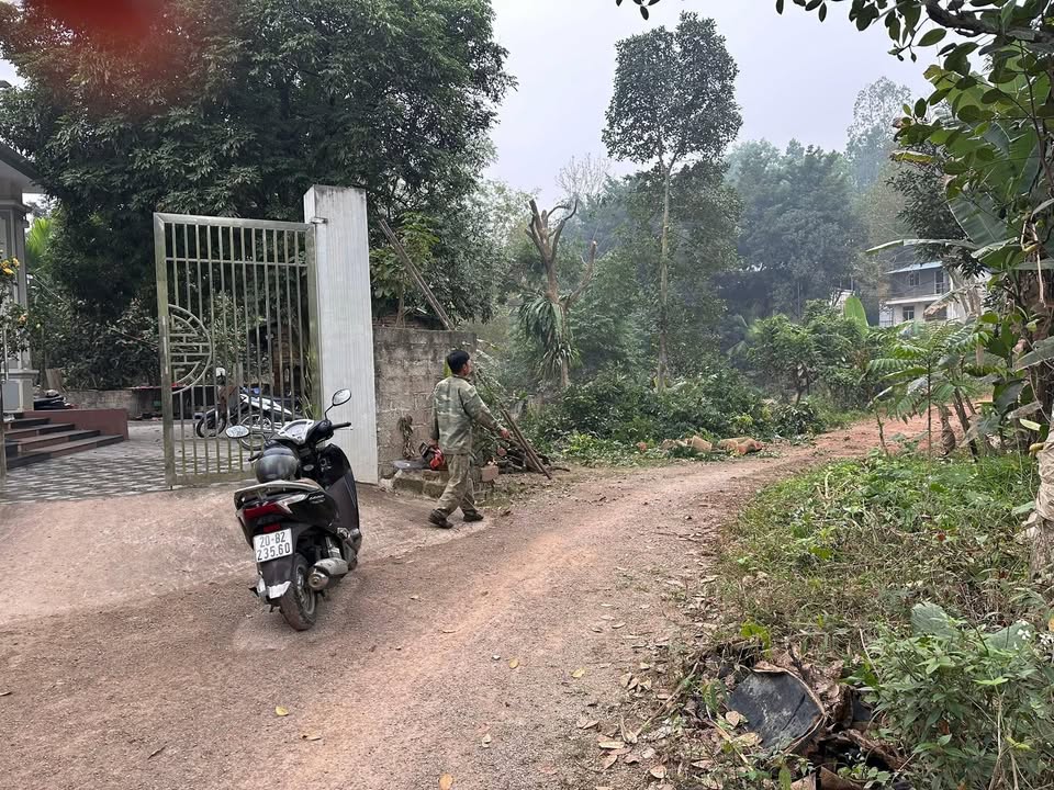 Đất nền 100m² mặt tiền 5m, sổ đỏ, gần trường Tân Long - 1.2 tỷ