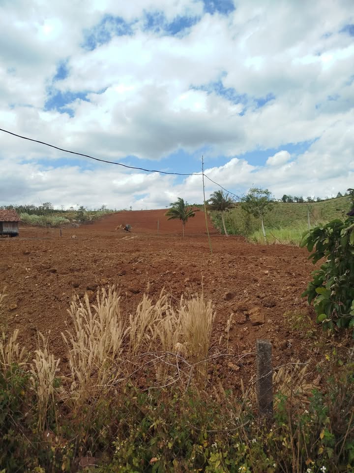 Đất nền Đắk N'Drót 1.9ha - Đường lớn ô tô, tiềm năng sinh lời!