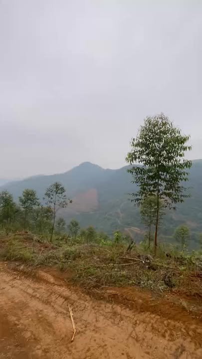 Đất vườn 20ha Liên Sơn, Hòa Bình – Nghỉ dưỡng lý tưởng, giá tốt!