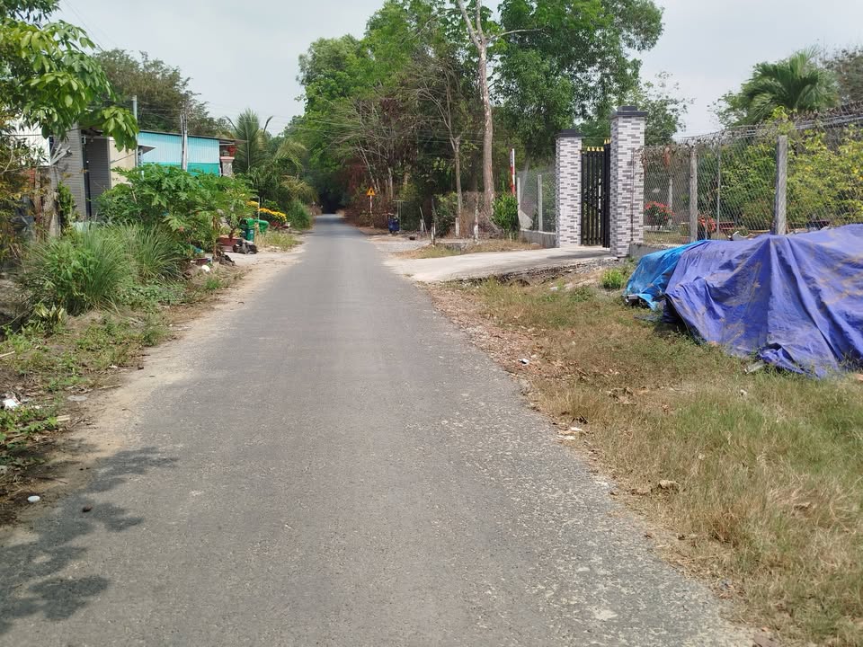 Đất Nền Gò Dầu Tây Ninh - 350m² Sổ Hồng Riêng, Giá Đầu Tư 1.5 Tỷ