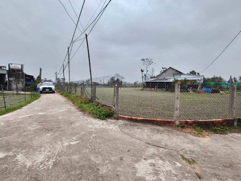 Đất Nền Bình Thuận 140m² - Sổ đỏ chính chủ, ô tô vào tận nơi!