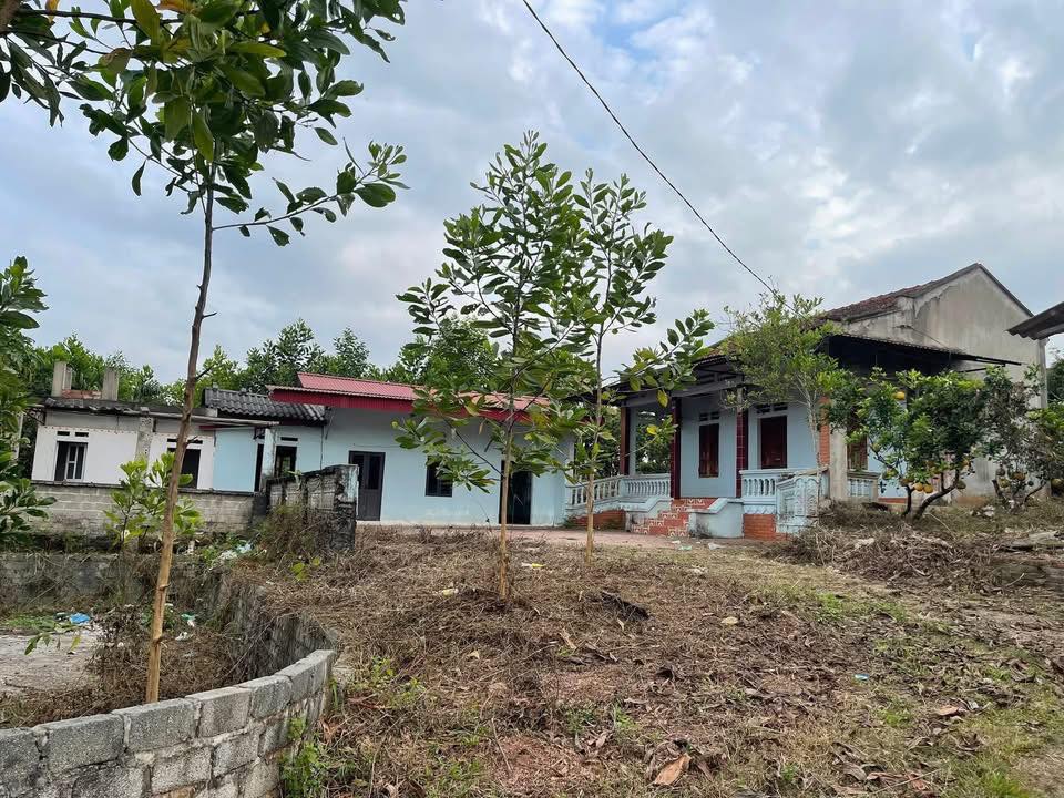 Đất vườn 2000m² Xã Trường Sơn, Lục Nam - Sinh thái xanh, sẵn nhà đẹp!