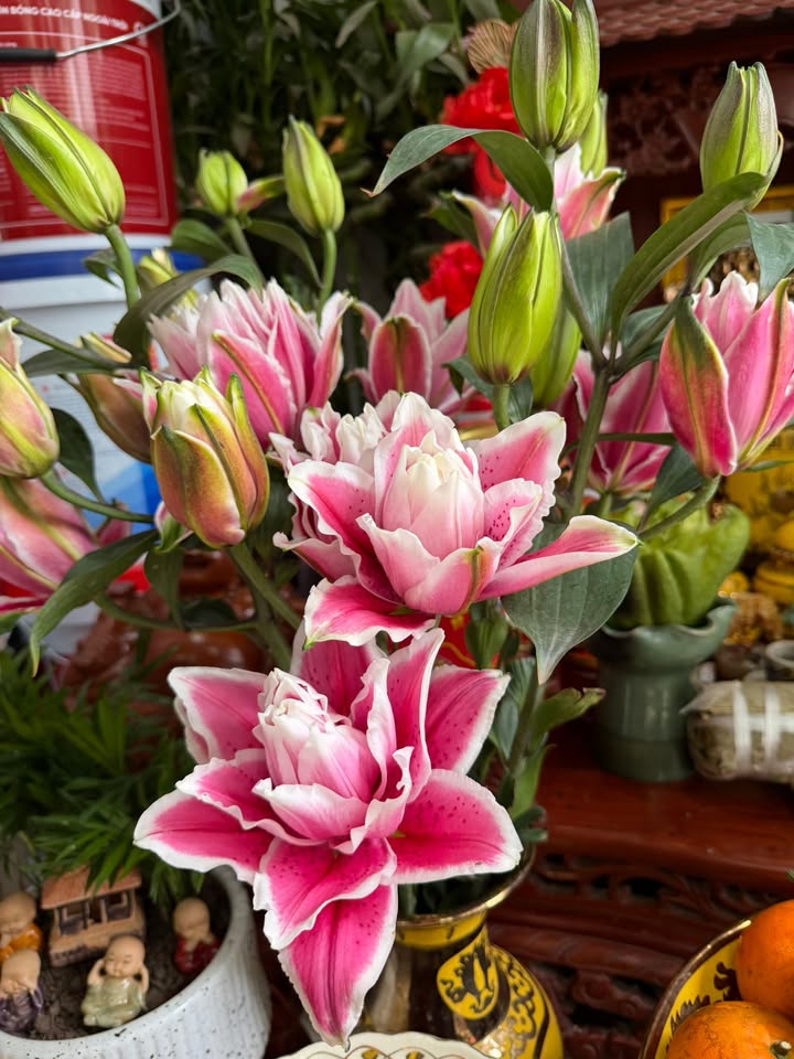 Biệt thự Vân Trung Việt Yên 900m² view hồ - Vị trí đẹp hiếm có!