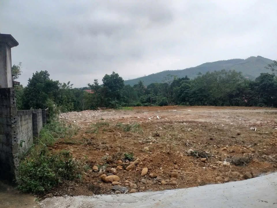 Đất Full Thổ Cư Thanh Sơn, Phú Thọ 1793m² - Giá Hơn 2 Tỷ