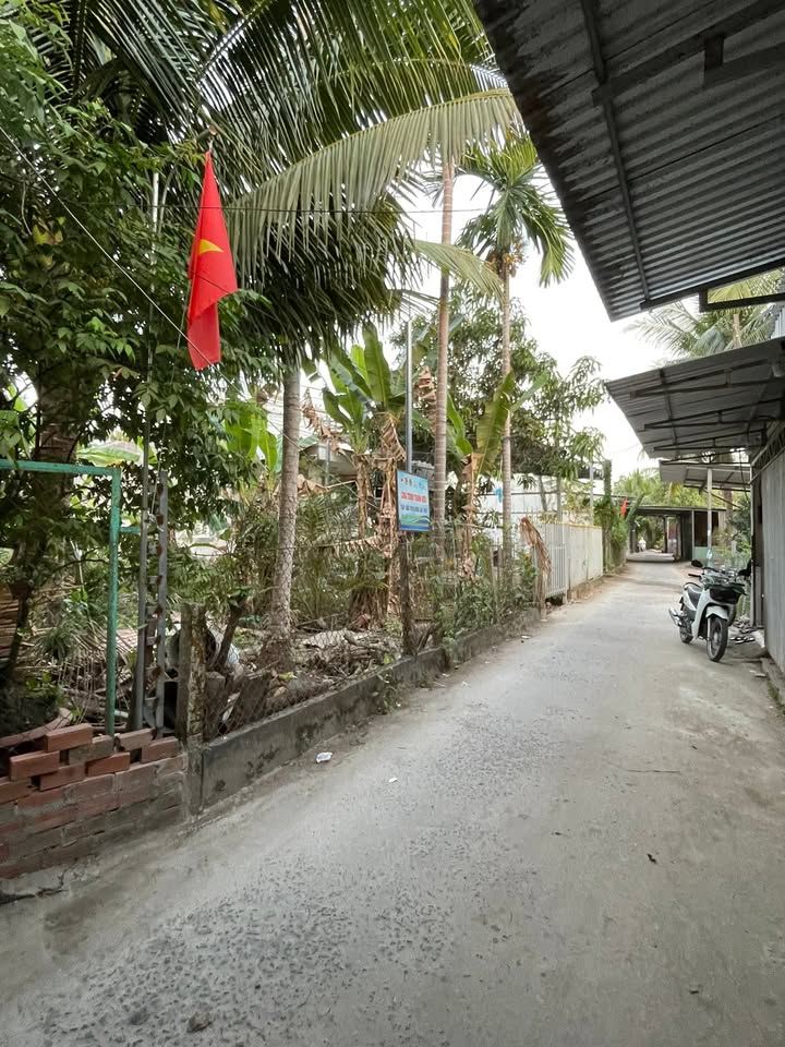 Đất nền biệt thự FPT Cần Thơ 309m² - Tiềm năng tăng giá vượt trội!