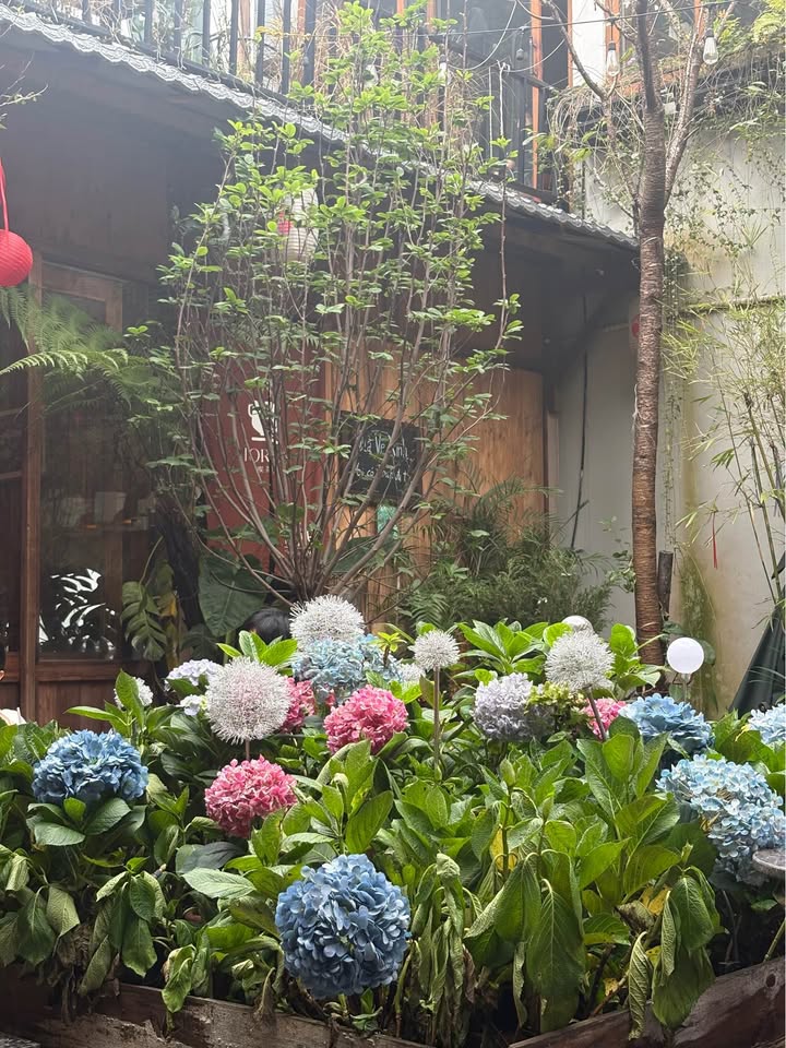 Căn hộ tập thể Tôn Thất Tùng 50m² giá 2 tỷ - Sẵn sàng ở ngay!